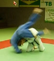 Filename=judotraining2.jpg
Filesize=12KiB
Dimensions=279x317
Date added=Jul 09, 2014 judotraining2.jpg